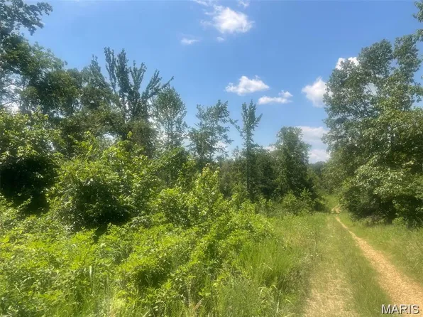 0 County Road 478, Poplar Bluff, MO 63901