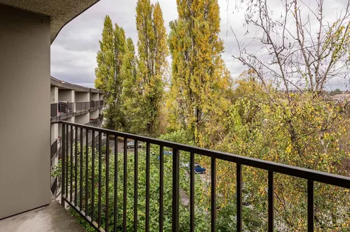 Four Seasons - Spacious 2 Bedroom 2 Bath along Montlake's Portage Bay, Seattle Photo 1