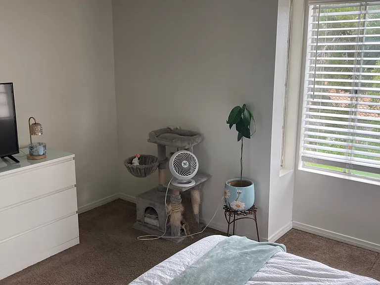 4833 Bella Pacific Row #238 — Photo 7
