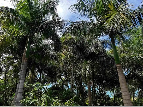 380 Alalele Pl, Hana, HI 96713