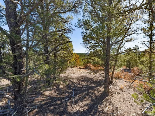 29870 County Rd 16, Trinidad, CO 81082