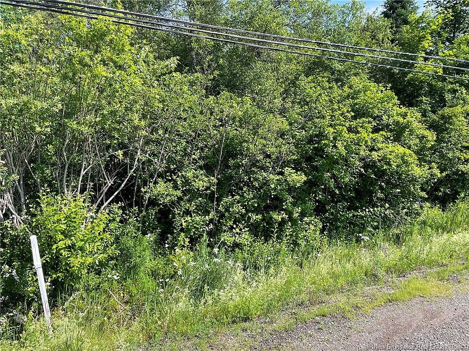 2nd image of LOT 3 Communication Rd