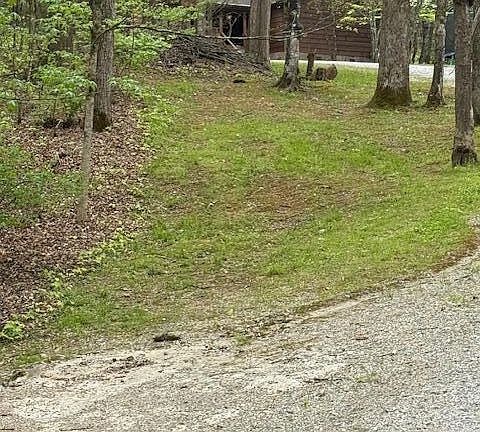 4th image of 3776 Sugar Grove Valley Rd