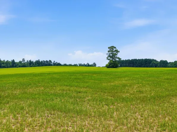 0 Bodie Rd, Wagener, SC 29164