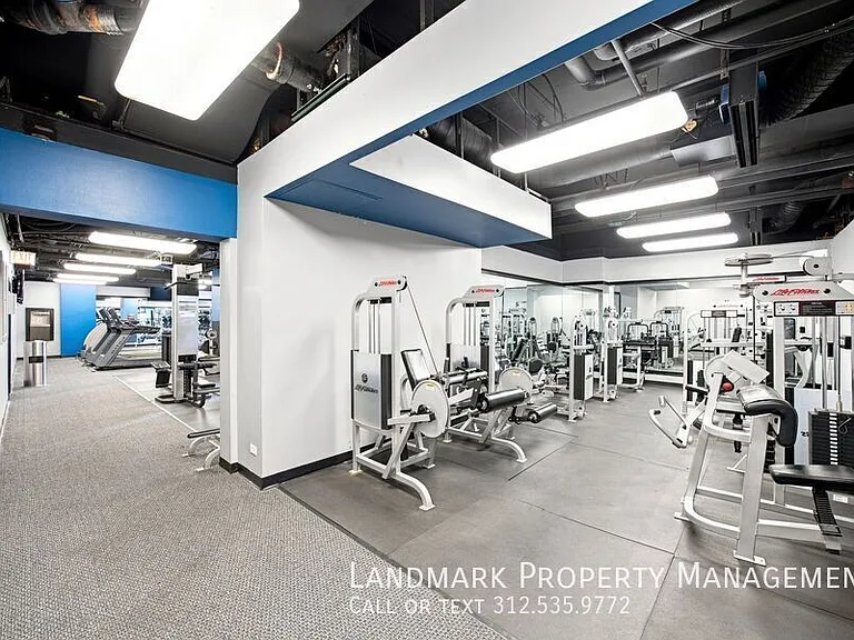 10 E Ontario St #4908 — Photo 35