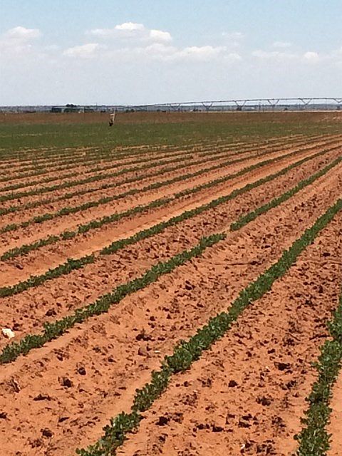 2nd image of 0 SE County Road 555