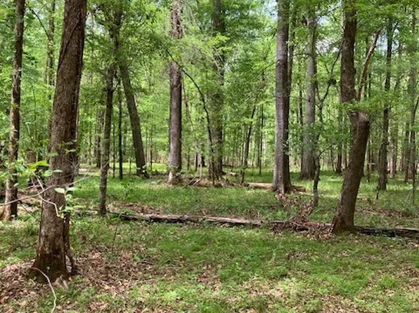 310 Philomath Woodville Rd, Rayle, GA 30660