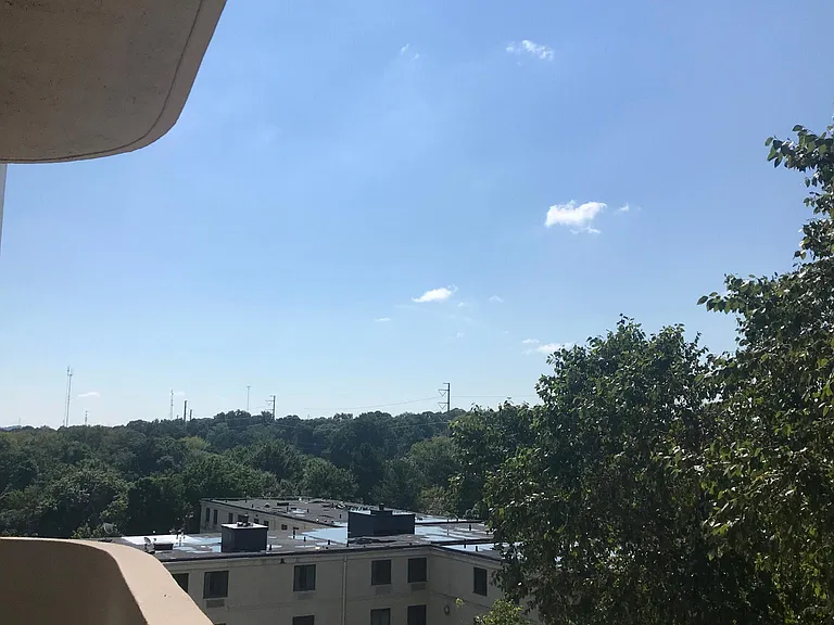 The view from your room.