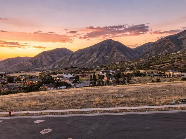 726 N Mountain View Dr, Elk Ridge, UT 84651