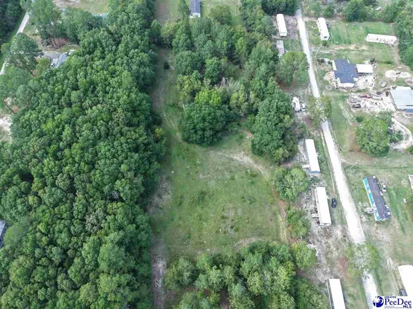 Cedar Ridge Rd, Darlington, SC 29540