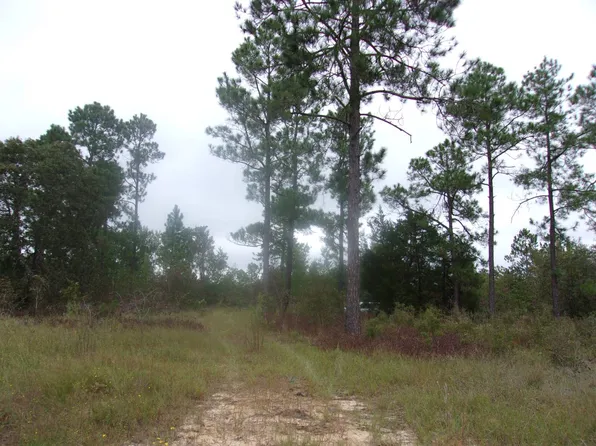 260 Whitetail Dr, Williston, SC 29853