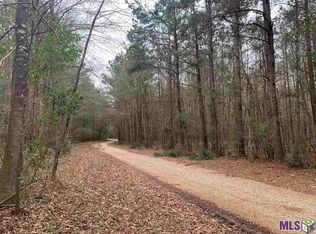 48 Burkette Ln, Denham Springs, LA 70706