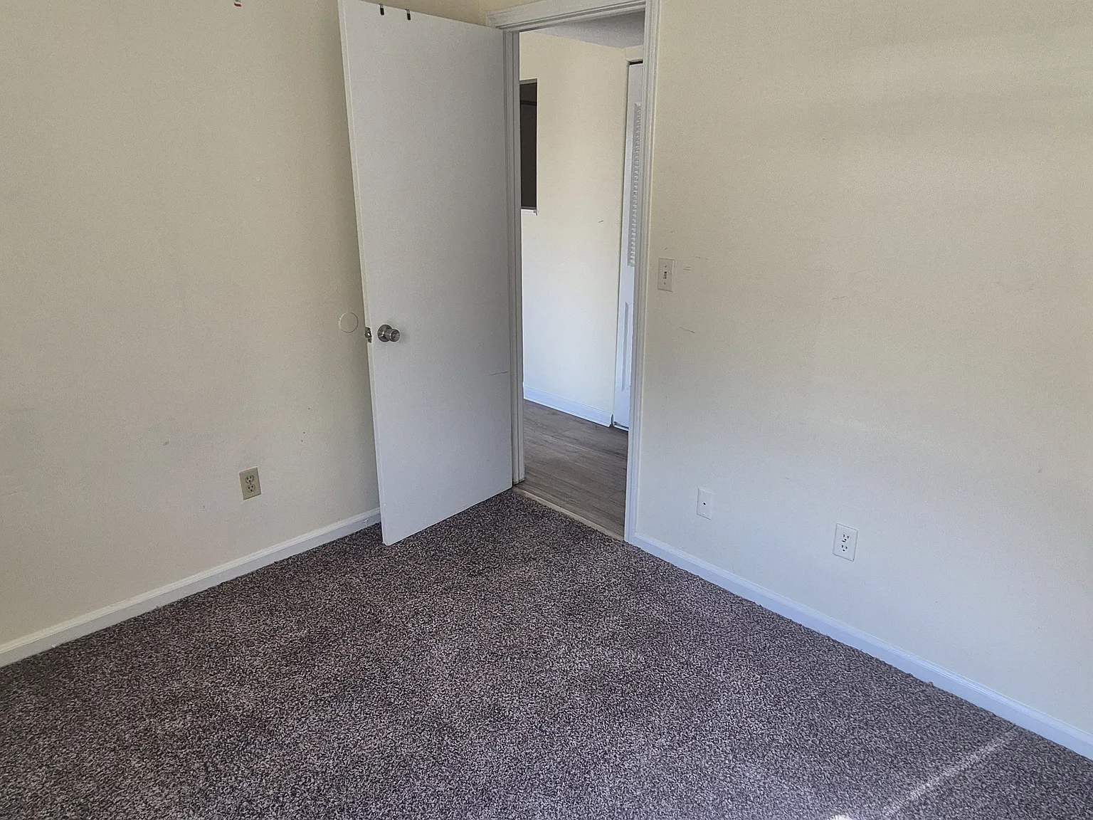 381 Shelby Avenue — Photo 2