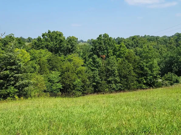 LOT 12 Adalin Dr, De Mossville, KY 41033