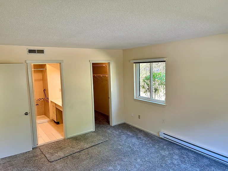 Bedroom with new carpet and walk-in closet.