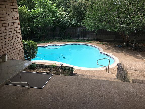 Before Back Yard