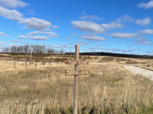 Pinot Point #6, Manistee, MI 49660