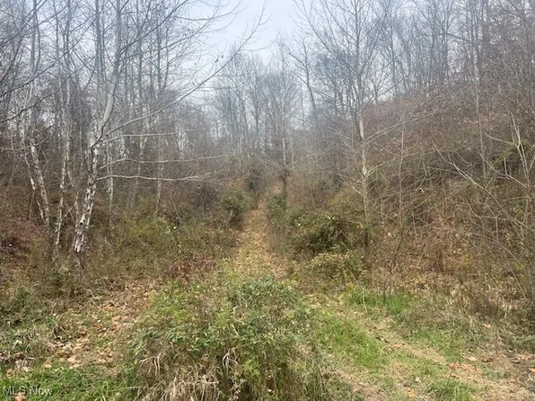 845 Back Run Rd, Philo, OH 43771