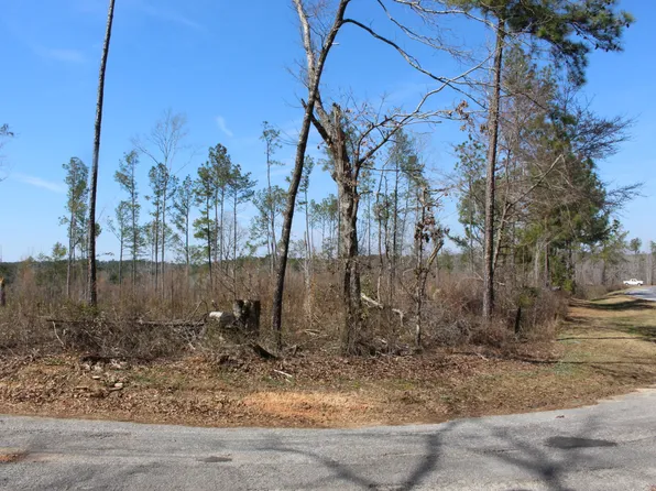 Madwind Rd, Jacksons Gap, AL 36861