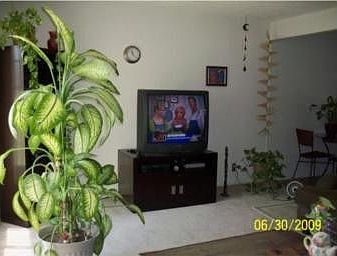 3rd image of 5550 Golondrina Dr