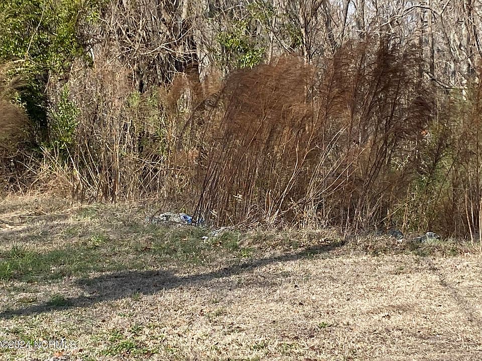 2nd image of 196 Neuse Avenue