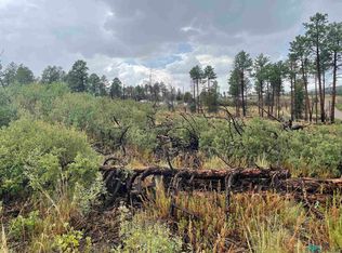 8 Movac Loop, Timberon, NM 88350