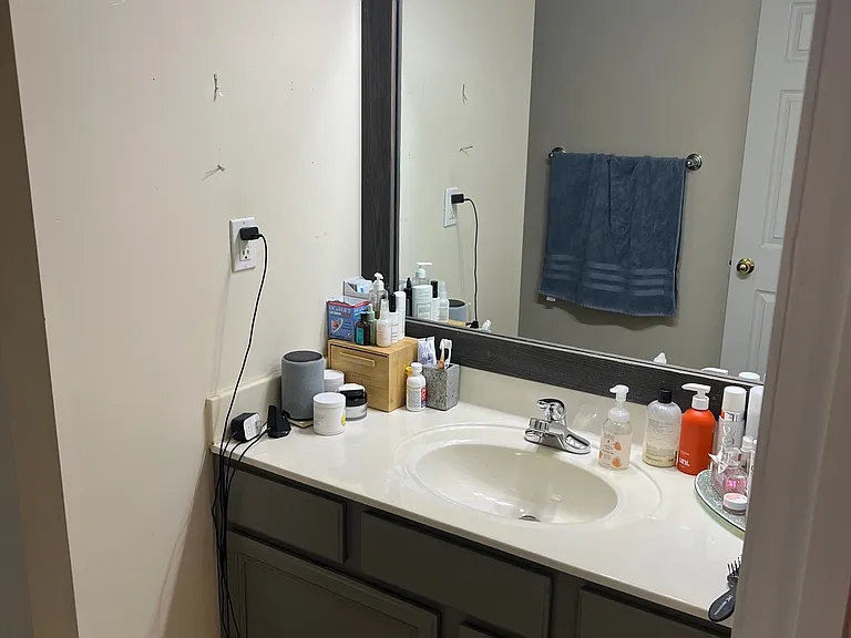 Master Bathroom Vanity