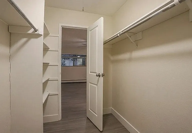 Spacious walk-in closet with ample shelving and hanging space, leading into a bright and airy room with wood flooring.