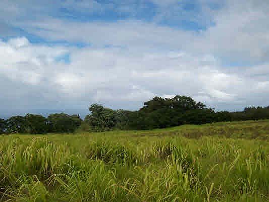 2nd image of Kapehu Rd Lot 21