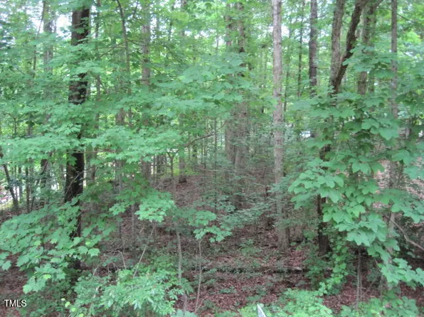 106 Pinto Dr #441, Louisburg, NC 27549