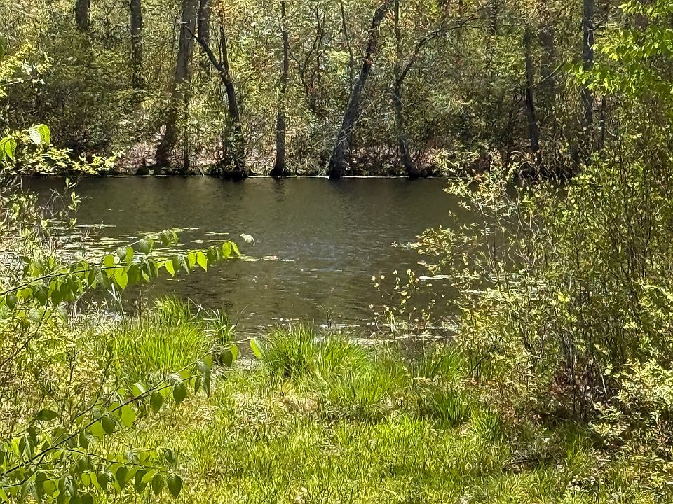 2nd image of 24 Oak Road