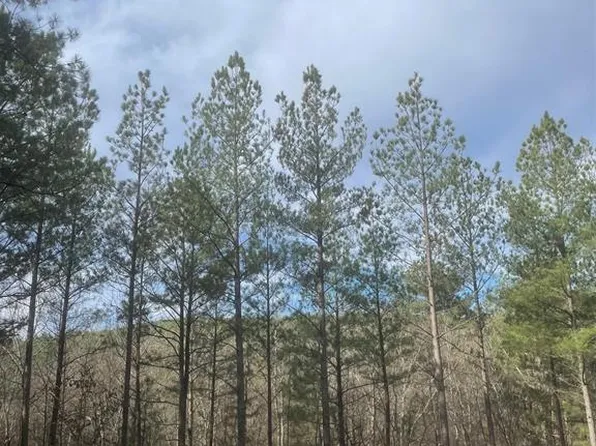 738 Timber Creek Trl, Broken Bow, OK 74728
