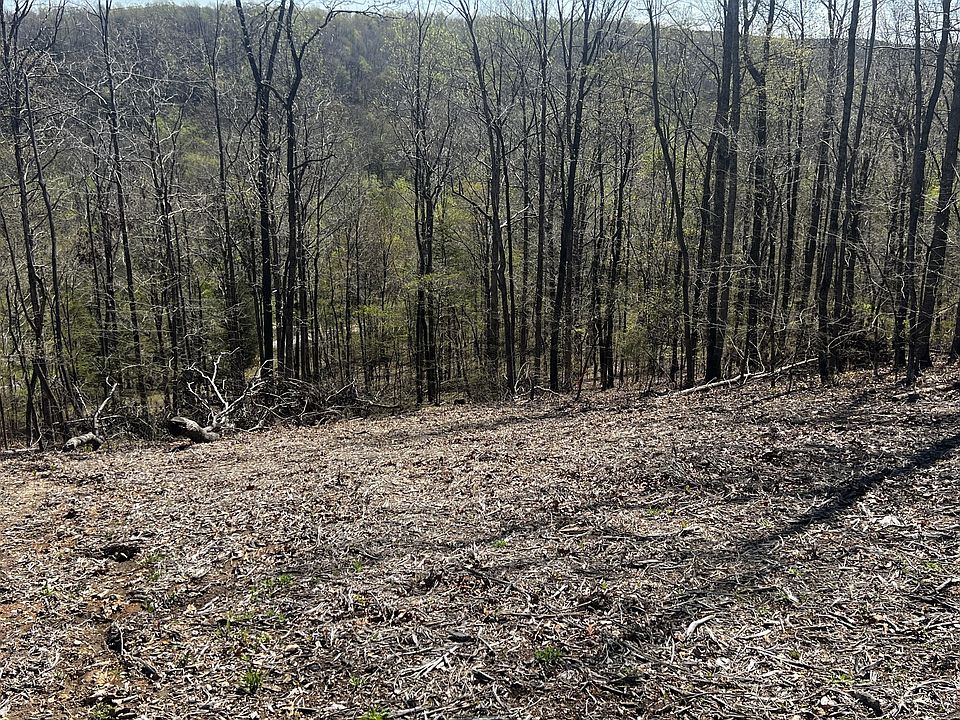 1276 Big Swan Creek Rd, Hampshire, TN 38461 MLS 2552808 Zillow