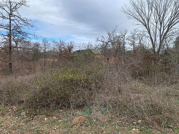 5th image of Chickasaw