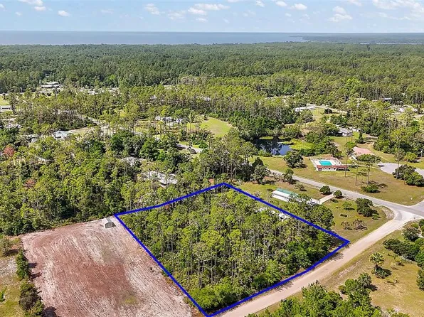 203 Ponderosa Pine Ct Lot 59, Georgetown, FL 32139