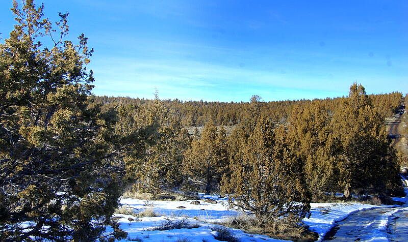 1st image of Tl 3000 Ochoco Land & Livestock