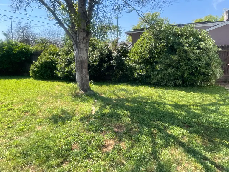 26 E Cortland Ave — Photo 16
