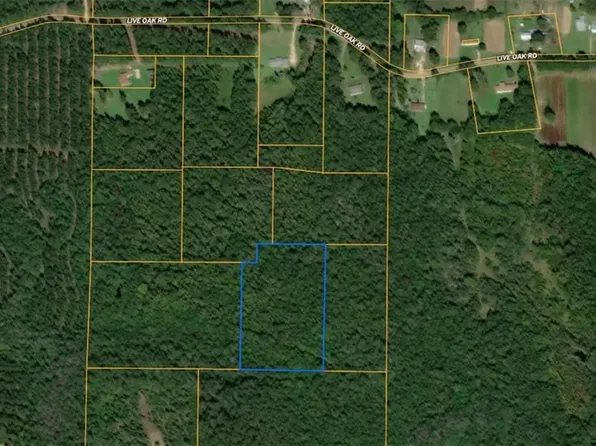 Nhn Will Roberts Rd, Angie, LA 70426