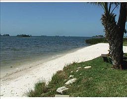 1st image of 2700 Bayshore Blvd APT 1309
