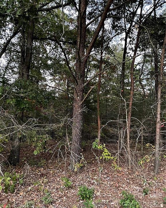 2nd image of Liberty Rd