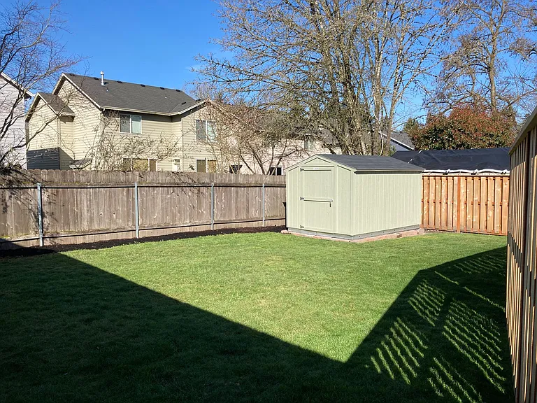 Large shed in back yard