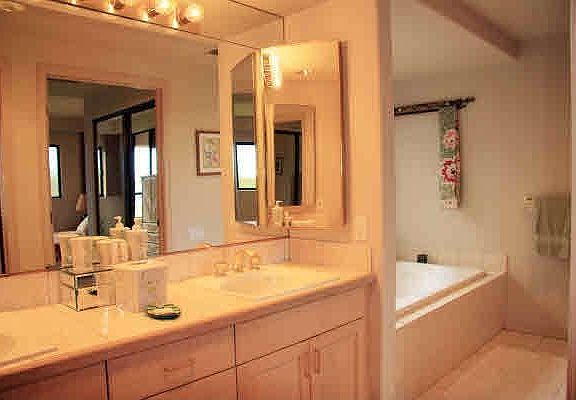 Master bath with jetted tub and separate water closet