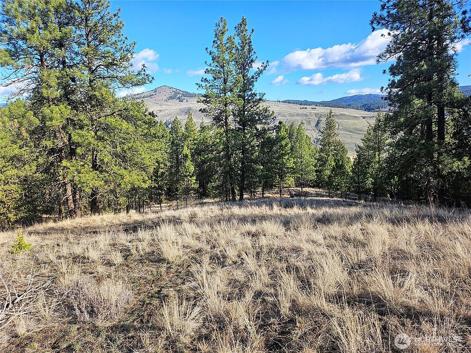 1st image of 380 Lot Chopaka TBD Road