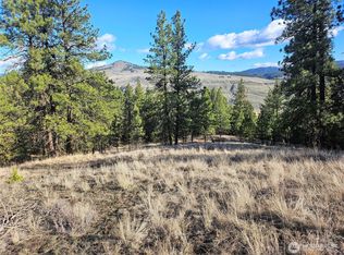 380 Lot Chopaka TBD Road, Tonasket, WA 98855