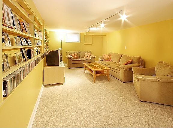 Family Room/Basement