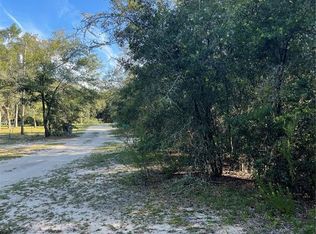 Wynetta Dr LOT 19, Interlachen, FL 32148