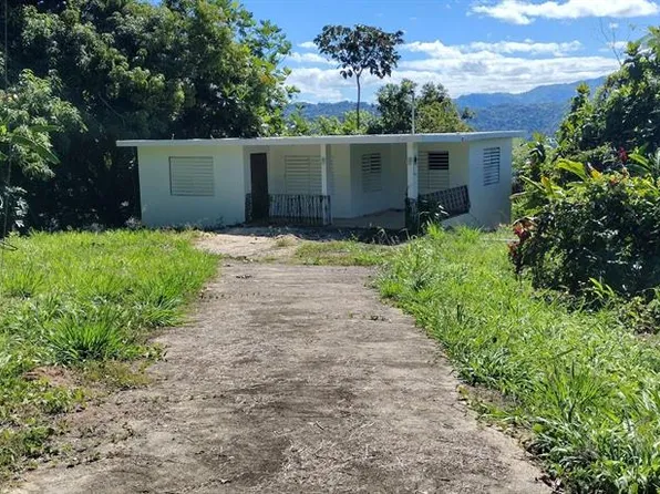 0 Private Road Inlt #622, Utuado, PR 00641