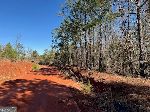 0 Deer Hunter Rd, Tennille, GA 31089