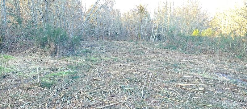 5th image of 14817 24th St SW