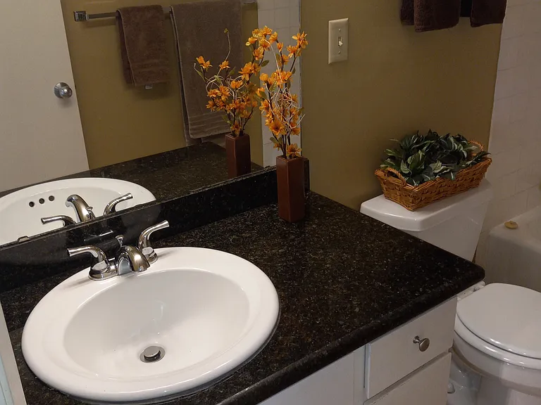 Bathroom sink